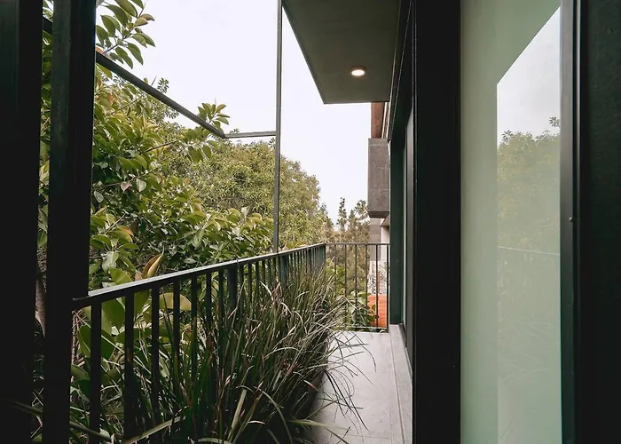 Apartment Gorgeous In Roma Norte With Pool & Gym